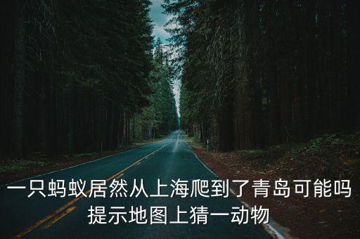一只螞蟻居然從上海爬到了青島可能嗎提示地圖上猜一動物