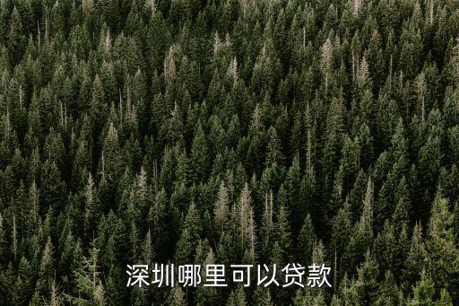 深圳哪里可以貸款