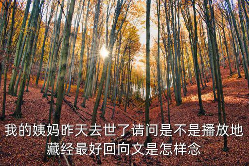 我的姨媽昨天去世了請(qǐng)問(wèn)是不是播放地藏經(jīng)最好回向文是怎樣念
