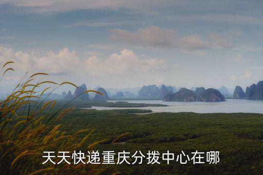 天天快遞重慶分撥中心在哪