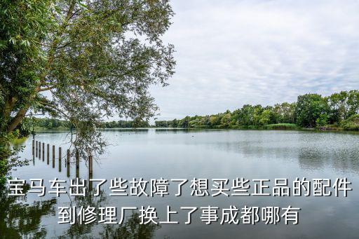 寶馬車出了些故障了想買些正品的配件到修理廠換上了事成都哪有