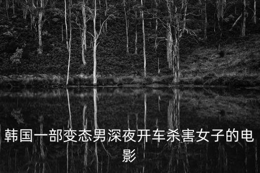 韓國一部變態男深夜開車殺害女子的電影