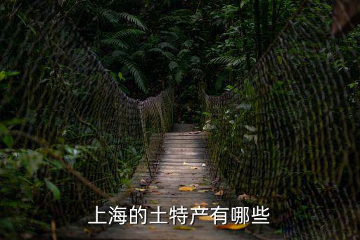 上海的土特產有哪些