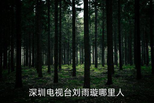 深圳電視臺，深圳電視臺有多少個頻道