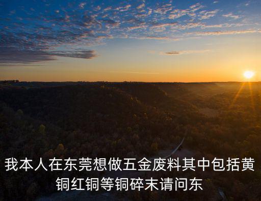 我本人在東莞想做五金廢料其中包括黃銅紅銅等銅碎末請(qǐng)問東