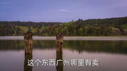 這個東西廣州哪里有賣