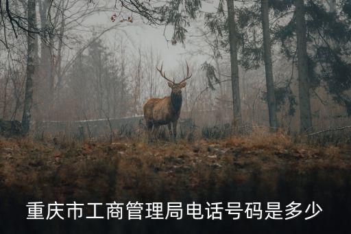 重慶市工商巴南區(qū)分局電話，重慶工商投訴電話是多少