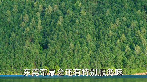 東莞帝豪會還有特別服務嘛