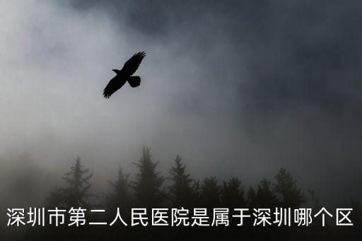 深圳市第二人民醫院是屬于深圳哪個區
