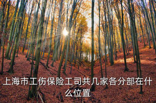 上海市寶山區工傷保險，上海市寶山區工傷鑒定局電話號碼是什么