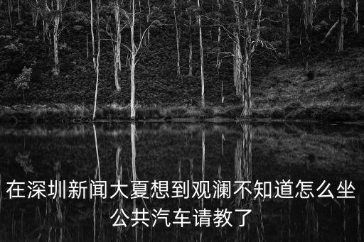 在深圳新聞大夏想到觀瀾不知道怎么坐公共汽車請教了
