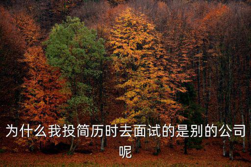 為什么我投簡歷時(shí)去面試的是別的公司呢