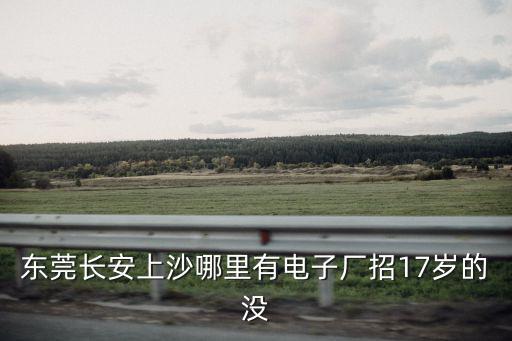 東莞長安上沙哪里有電子廠招17歲的沒