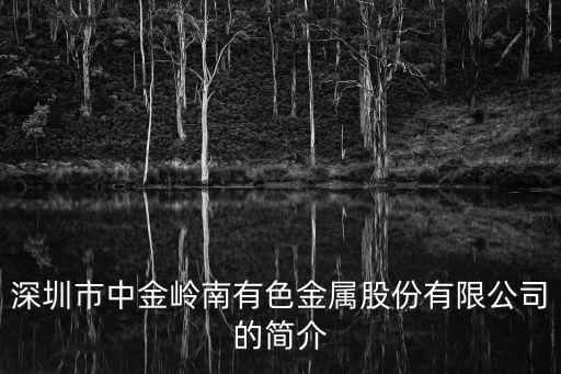 深圳市中金嶺南有色金屬股份有限公司的簡介
