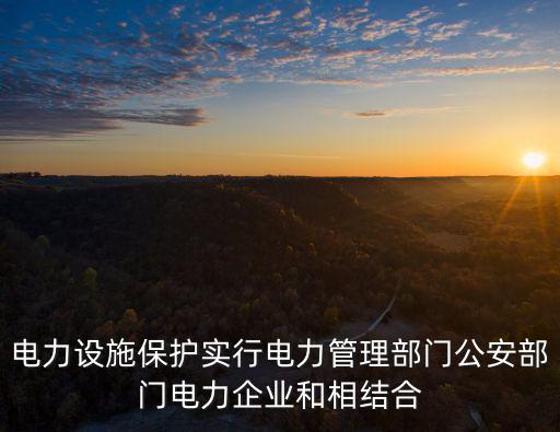 重慶市電力設施保護條例，重慶電業局