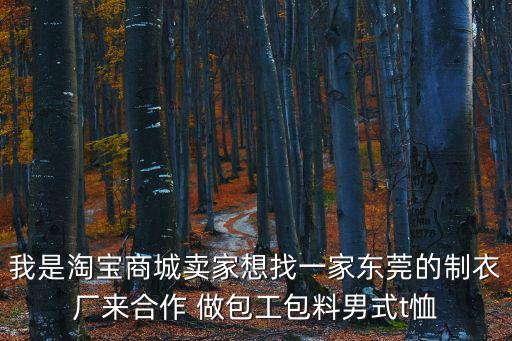 我是淘寶商城賣家想找一家東莞的制衣廠來合作 做包工包料男式t恤