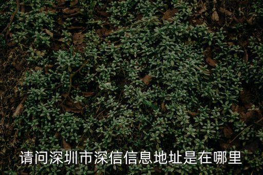 請問深圳市深信信息地址是在哪里