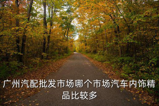 廣州汽配批發(fā)市場哪個(gè)市場汽車內(nèi)飾精品比較多