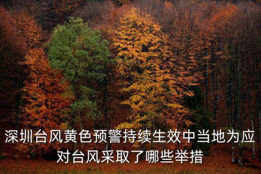 深圳臺風黃色預警持續生效中當地為應對臺風采取了哪些舉措