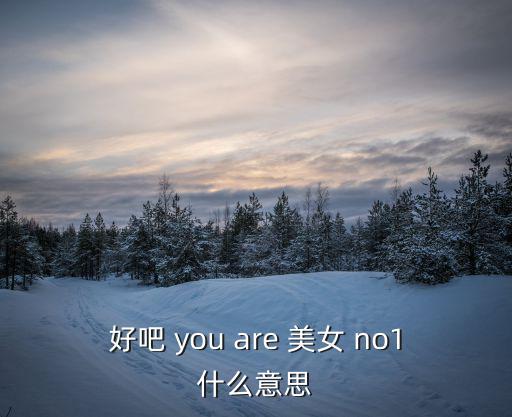好吧 you are 美女 no1什么意思