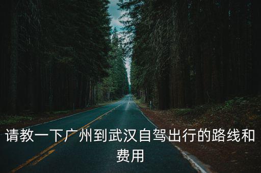 請教一下廣州到武漢自駕出行的路線和費用