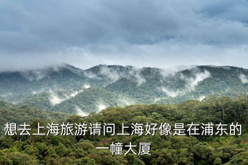 上海市高樓大夏視頻圖片，想去上海旅游請問上海好像是在浦東的一幢大廈
