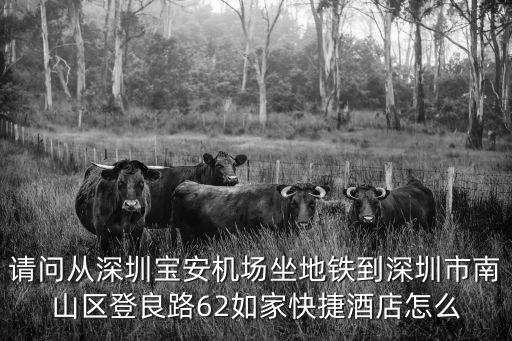 請問從深圳寶安機場坐地鐵到深圳市南山區登良路62如家快捷酒店怎么