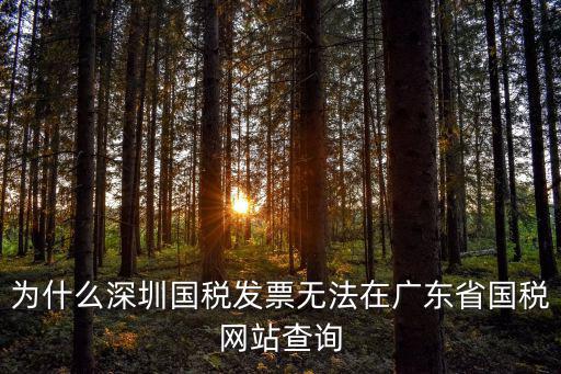 為什么深圳國稅發票無法在廣東省國稅網站查詢