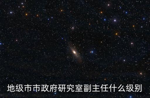地級市市政府研究室副主任什么級別