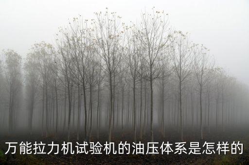 東莞德林密封，萬能拉力機試驗機的油壓體系是怎樣的