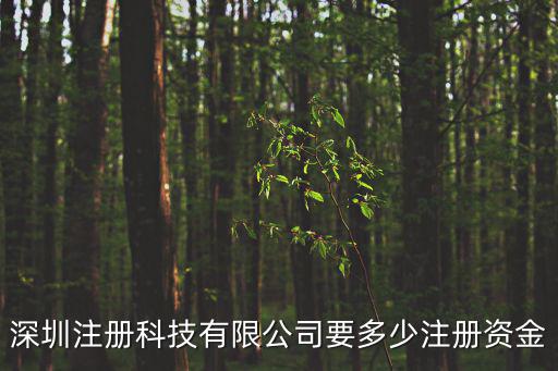 深圳注冊科技有限公司要多少注冊資金