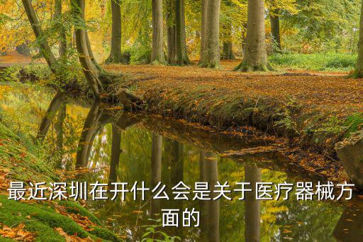 最近深圳在開什么會是關于醫療器械方面的