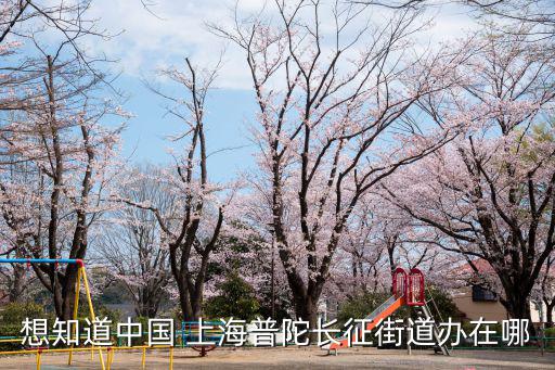 想知道中國 上海普陀長征街道辦在哪