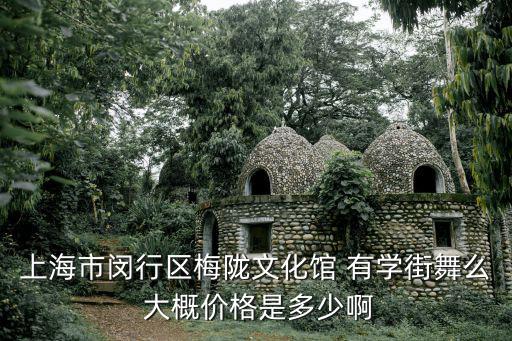 上海市梅隴文化館，上海市閔行區梅隴文化館 有學街舞么 大概價格是多少啊