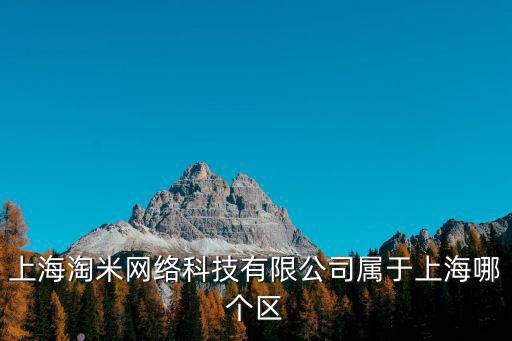 上海淘米網絡科技有限公司屬于上海哪個區