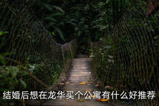 結(jié)婚后想在龍華買個(gè)公寓有什么好推薦