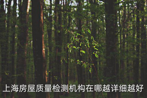 上海房屋質量檢測機構在哪越詳細越好