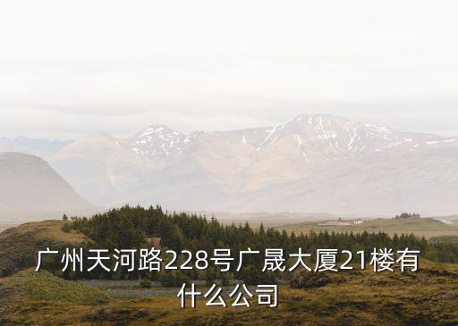 廣州天河路228號廣晟大廈21樓有什么公司
