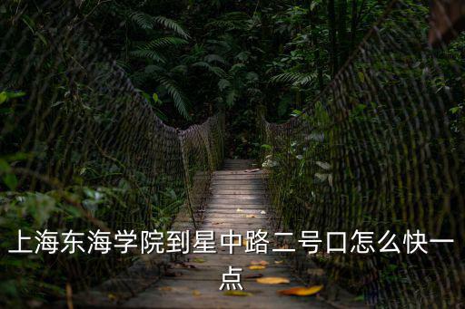 上海東海學院到星中路二號口怎么快一點