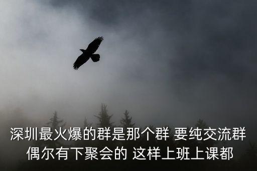 深圳最火爆的群是那個群 要純交流群 偶爾有下聚會的 這樣上班上課都