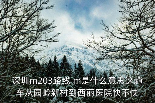 深圳m203路線 m是什么意思這趟車從園嶺新村到西麗醫院快不快