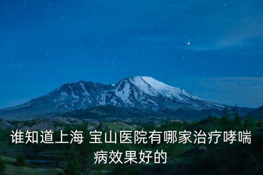 上海市寶山區(qū)羅店醫(yī)院官網(wǎng)，誰知道上海 寶山醫(yī)院有哪家治療哮喘病效果好的