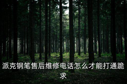 派克鋼筆維修 廣州，派克鋼筆修理急