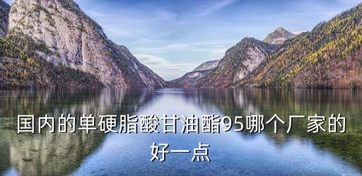 國內的單硬脂酸甘油酯95哪個廠家的好一點