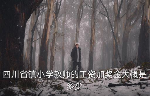 四川省鎮(zhèn)小學(xué)教師的工資加獎(jiǎng)金大慨是多少