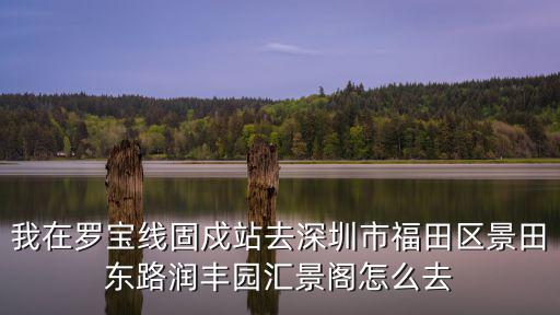 深圳豐園 13502879898，請問深圳哪里賣的香酥鴨最正宗