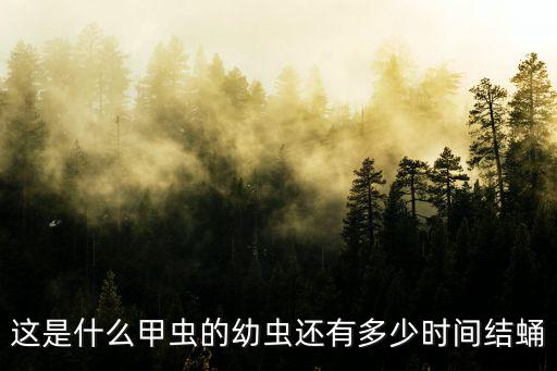 姬兜 廣州，獨角仙在哪能抓到我在廣州