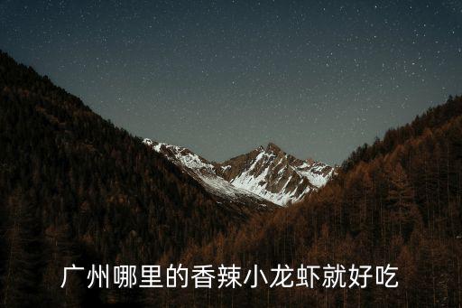 廣州梅花園小龍蝦，廣州哪里吃小龍蝦