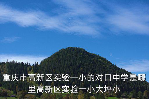 重慶市佳兆業中學，重慶市高新區實驗一小的對口中學是哪里高新區實驗一小大坪小