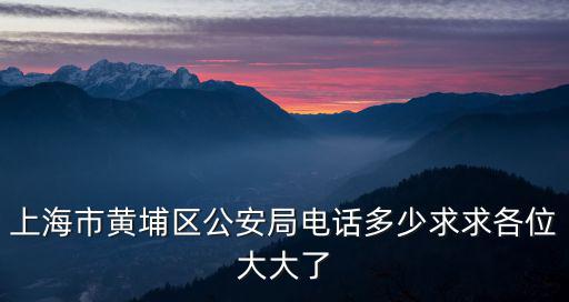 上海市黃浦區城管局電話，上海環保和城管執法的投訴電話